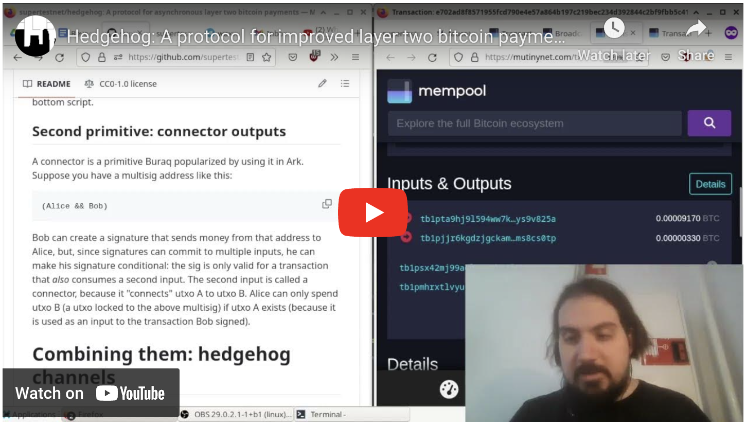 BitDevs-33-Hedgehog-Video-Thumbnail.png