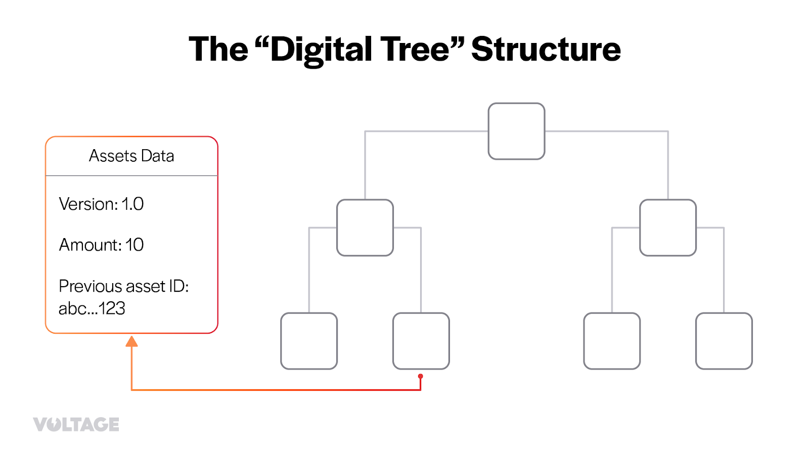 BitDevs-34-Taproot-Assets-Voltage-2.png