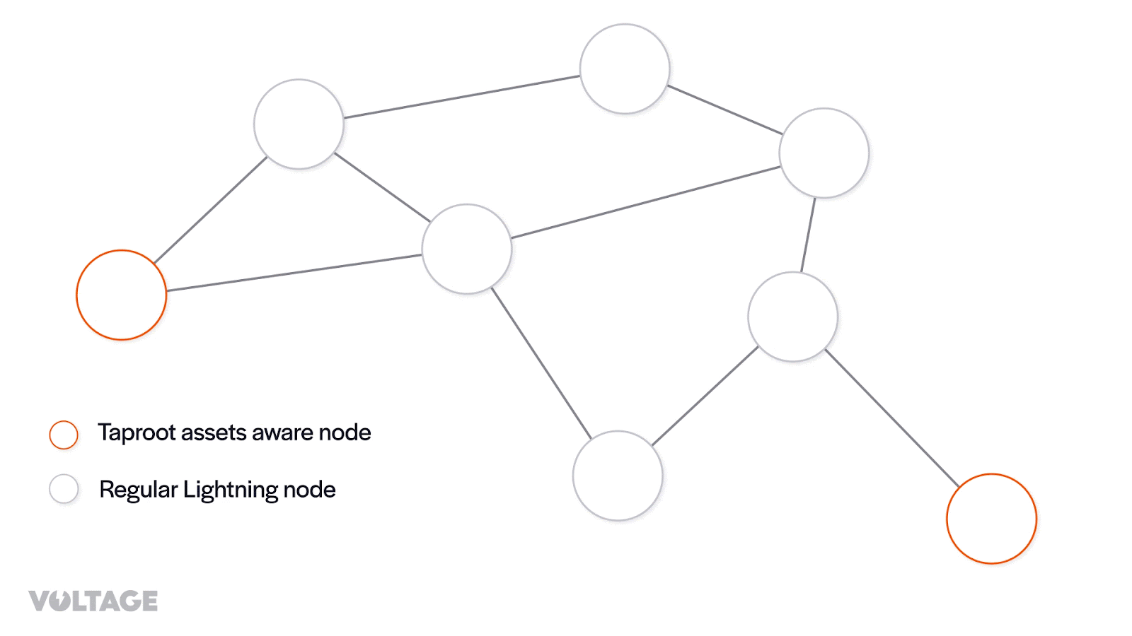 BitDevs-34-Taproot-Assets-Voltage-3.gif